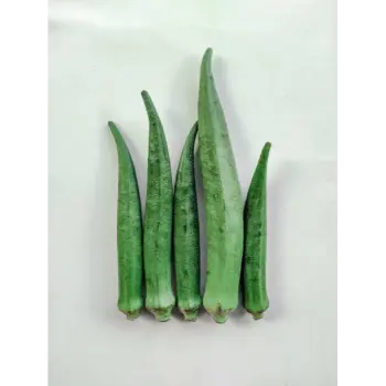 lady finger (8)-1036293-30122.webp